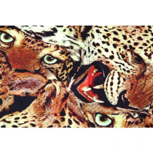 Женский свитшот с рисунком "Tigers" FUSION