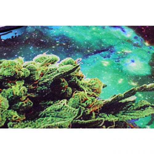 Женский свитшот с рисунком "Space Weed" FUSION